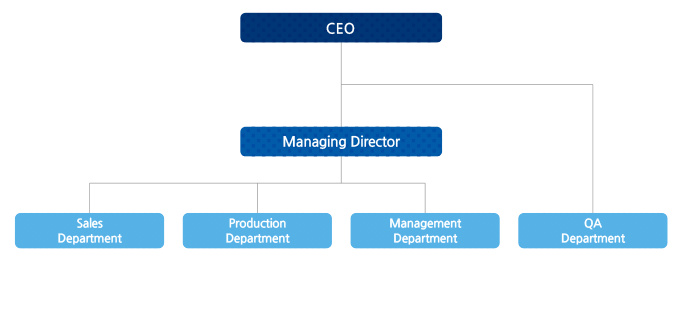 Tech Company Org Chart